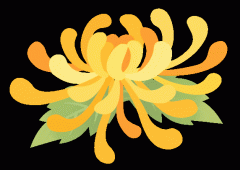 青浦市平易近202